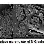 Figure 8: Surface morphology of N-Graphene by SEM