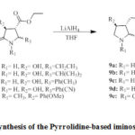Scheme 3: Synthesis of the Pyrrolidine-based iminosugars (9a-e)