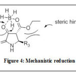 Figure 4: Mechanistic reduction