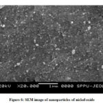 Figure 6: SEM image of nanoparticles of nickel oxide