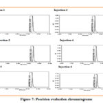Figure 7: Precision evaluation chromatograms