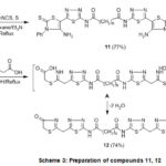 Scheme 3: Preparation of compounds 11, 12
