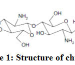 Figure 1: Structure of chitosan