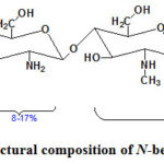 Figure 2: Supposed structural composition of N-benzyl N'-methyl chitosan.