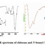 Figure 3: The FT-IR spectrum of chitosan and N-benzyl N'-methyl chitosan