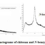 Figure 6: X-ray diffractograms of chitosan and N-benzyl N'-methylchitosan