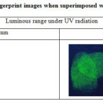 Table 5: The latent fingerprint images when superimposed with fluorescent powder