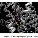 Figure 10: Docking of ligand against S. auerus
