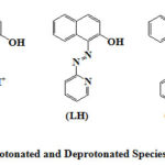 Figure 1: Protonated and Deprotonated Species of Pan (LH)