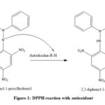 Figure 1: DPPH reaction with antioxidant