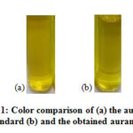 Figure 1: Color comparison of (a) the aurantiol       standard (b) and the obtained aurantiol