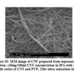 Figure 10: SEM image of CNF prepared from supernatant solution.