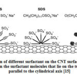 Figure 3: Adsorption of different surfactant on the CNT surface. Tube stabilization