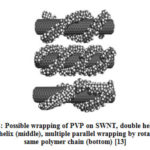 Figure 4: Possible wrapping of PVP on SWNT, double helix (top),
