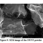 Figure 9: SEM image of the SWNT powder
