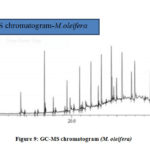 Figure 9: GC-MS chromatogram (M. oleifera)