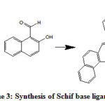 Scheme 3: Synthesis of Schif base ligand SL2