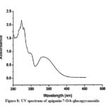 Figure 8: UV spectrum of apigenin-7-O-b-glucopyranoside