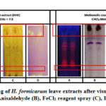Figure 2: TLC profiling of H. formicarum leave extracts after visualization