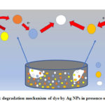 Figure 8: degradation mechanism of dye by Ag NPs in presence of NaBH4