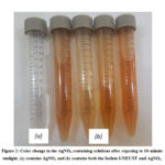 Figure 2: Color change in the AgNO3 containing solutions after exposing to 10-minute  sunlight,