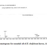 Figure 1: Chromatogram for essential oil of Z. chalybeum leaves, Awale, Dire Dawa