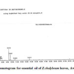 Figure 2: Chromatogram for essential oil of Z.chalybeum leaves, Awaday, Haramaya
