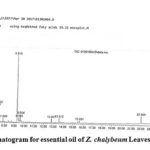 Figure 3: Chromatogram for essential oil of Z. chalybeum Leaves, Lange, Kersa