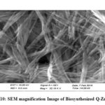 Figure 10: SEM magnification Image of Biosynthesized Q-ZnONPs