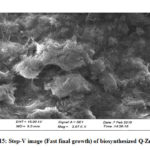 Figure 15: Step-V image (Fast final growth) of biosynthesized Q-ZnONPS
