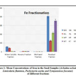 Figure 1: Mean Concentrations of Iron in the Snail Samples (Achatina achatina,  Limicolaria flammea, Pachymeria aurita and Tympanotous fuscatus)  of different fractions