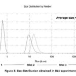 Figure 3: Size distribution obtained in DLS experiments.