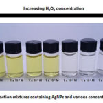 Figure 5: Reaction mixtures containing AgNPs and various concentrations of H2O2.