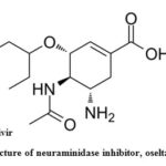 Figure 6: Chemical structure of neuraminidase inhibitor, oseltamivir antiviral drugs.30