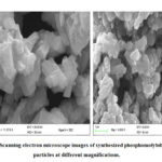 Figure 4: Scanning electron microscope images of synthesized phosphomolybdic acid particles at different magnifications.
