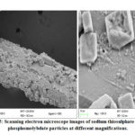 Figure 5: Scanning electron microscope images of sodium thiosulphate reduced phosphomolybdate particles at different magnifications.