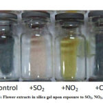 Figure 3: Flower extracts in silica gel upon exposure to SO2, NO2, and CO2.