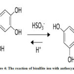 Figure 4: The reaction of bisulfite ion with anthocyanin.