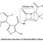 Scheme 1: Molecular structure of flucloxacillin sodium (FluNa).