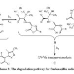 Scheme 2: The degradation pathway for flucloxacillin sodium