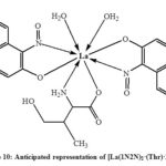 Figure 10: Anticipated representation of [La(1N2N)2•(Thr)•2H2O]