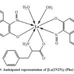 Figure 9: Anticipated representation of [La(1N2N)2•(Phe)•2H2O]