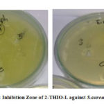 Figure 10a: Inhibition Zone of 2-THIO-L against S.aureus and E.coli