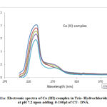 Figure 11a: Electronic spectra of Co (III) complex in Tris- Hydrochloride buffer                             at pH 7.2 upon adding 0-100μl of CT- DNA.
