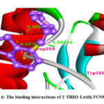 Figure 6: The binding interactions of 2-THIO-Lwith 3VN9 protein.