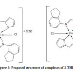 Figure 9: Proposed structures of complexes of 2-THIO-L