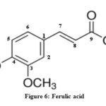 Figure 6: Ferulic acid
