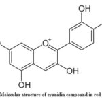 Figure 1: Molecular structure of cyanidin compound in red cappage.