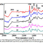Figure 2: The FTIR spectra of PVA-Cu2O NFs consisting of (a) 10.00, (b) 20.00, (c) 30.00, (d) 50.00, and (e) 100.00 mM Cu2O NPs