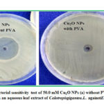 Figure 6: Antibacterial sensitivity test of 50.0 mM Cu2O NPs (a) without PVA and (b) with PVA